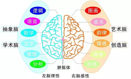 2017年北京全腦超速記憶國慶集訓營 告別死記硬背，激發(fā)孩子無限潛能